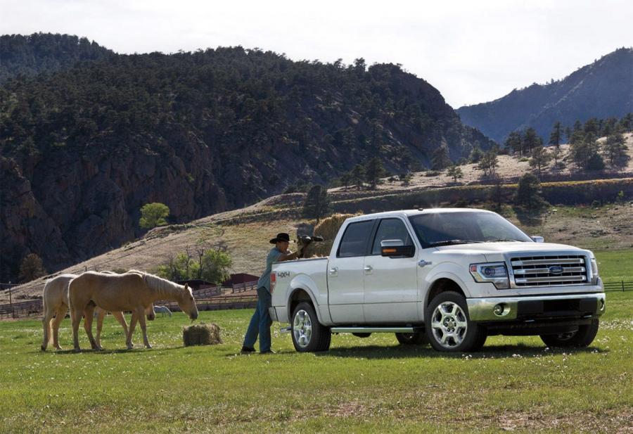  Ford F-150 King Ranch 2013 года  (фото 8 из 8)